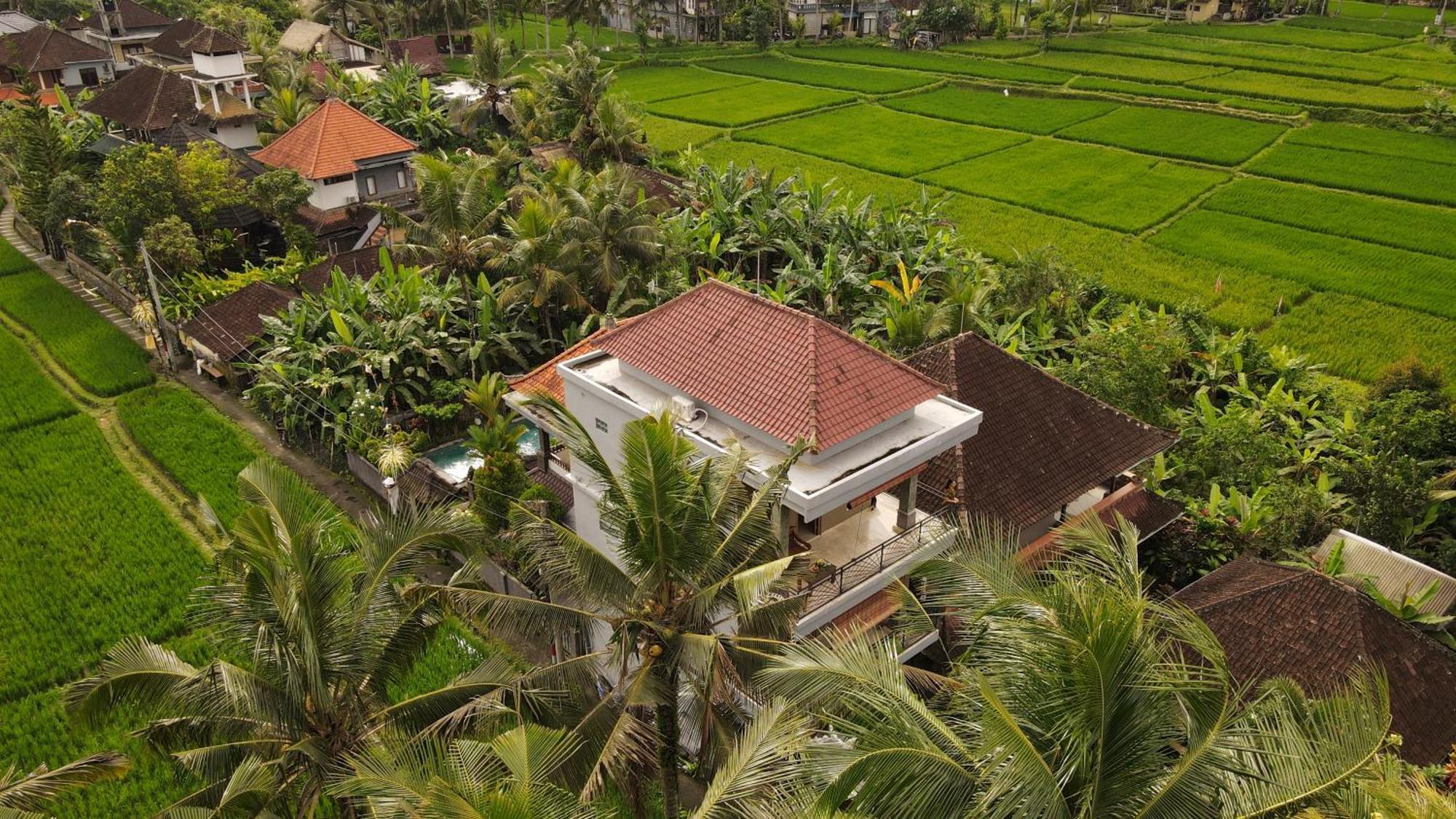 Nirwa 1 Ubud Guesthouse מראה חיצוני תמונה